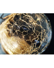 ​Świecący Aniołek Solarny LED – Dekoracyjny Aniołek ze świecącą kulą